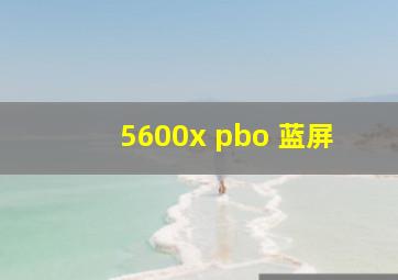 5600x pbo 蓝屏